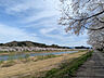 その他：桧木内川堤の桜を見渡せる土手まで徒歩4分（384ｍ）です