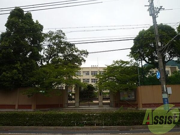 画像29:神戸市立雲中小学校 859m