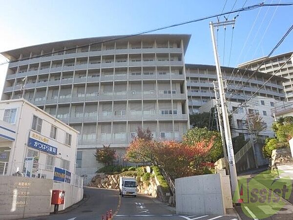 画像30:神戸海星病院 930m
