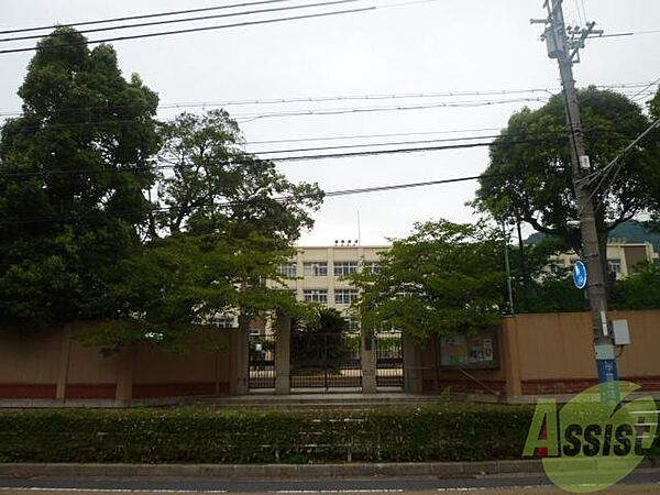 画像30:神戸市立雲中小学校 43m