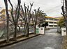 周辺：北九州市立若園小学校（387m）