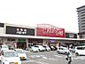 周辺：ハローデイ共立大前店（843m）