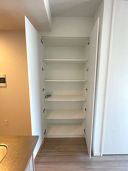 キッチン隣接の収納は、日用品や食品ストックの整理に便利です。可動棚で使いやすく、すっきりとした空間を保てます。