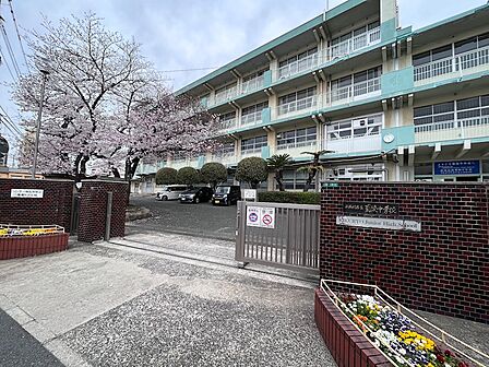 北九州市立菊陵中学校（985m）