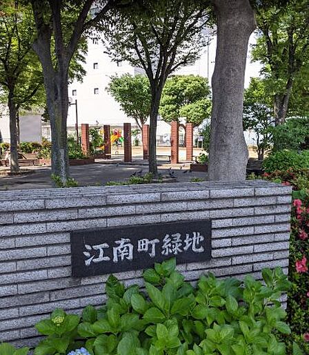 江南町緑地（705m）