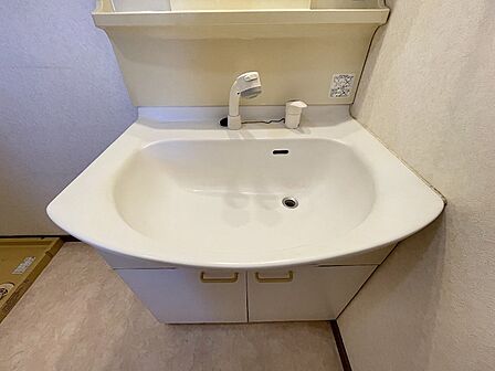 コンパクトな洗面台は、空間を有効活用できるデザイン。シャワー付き水栓で、朝の身支度もスムーズに。