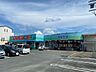 周辺：ドラッグスギヤマ　新城店 250m