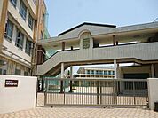 日比野中学校 888m