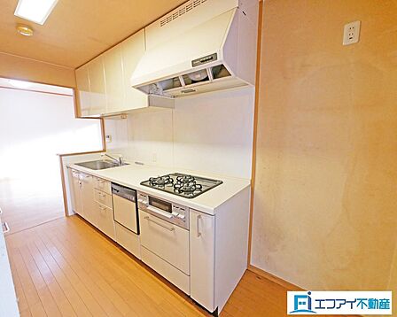 室内（2024年12月）撮影