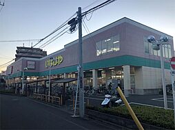 いなげや お花茶屋店（352m）