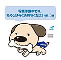 ドン・キホーテ...