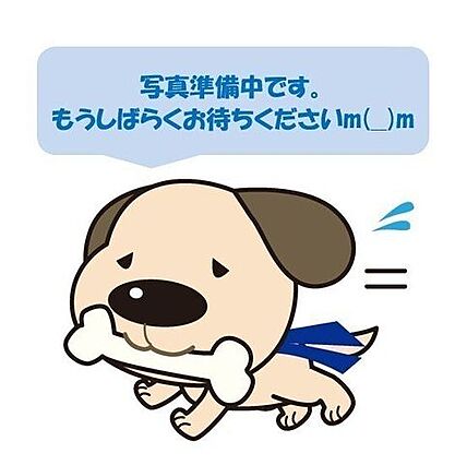 ドン・キホーテ...