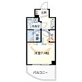 セレニテ桃谷7階5.8万円