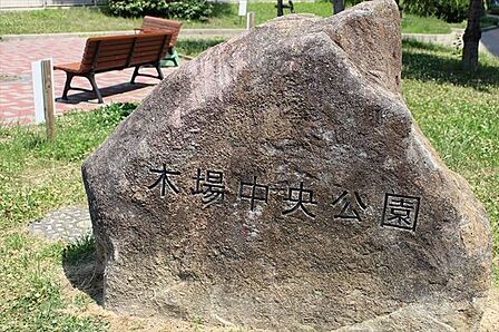 【木場中央公園】大きな木々に芝がありとても緑がまぶしい公園です。多目的グラウンドが1面あります。 600m