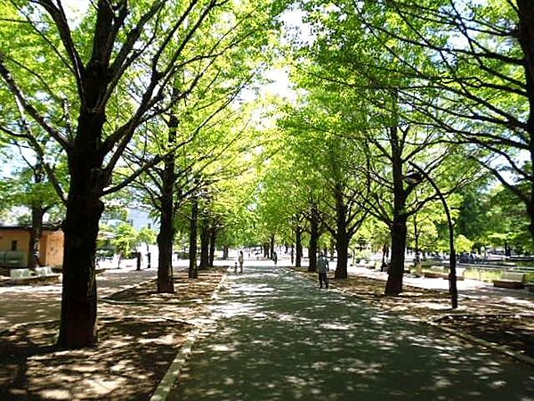 プラザサンタナカ3号館 ｜東京都板橋区成増１丁目(賃貸マンション2LDK・1階・52.80㎡)の写真 その27