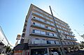 広島電鉄8系統 舟入本町駅 徒歩12分の賃貸マンション