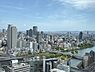 その他：住戸から北東方向の眺望：周囲に高い建物が少ないため、大川や大阪市中央公会堂も見渡すことができます。