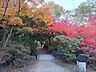 周辺：梅小路公園の紅葉