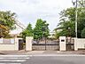 周辺：松戸市立第一中学校 1773m