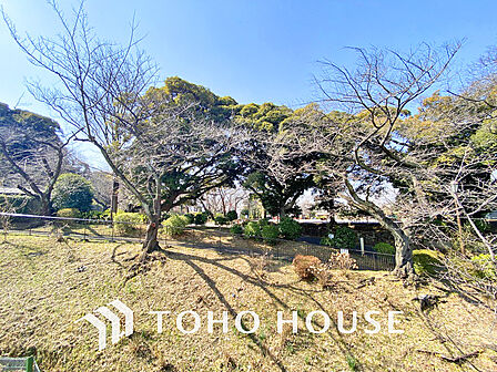 掃部山公園　距離1100ｍ