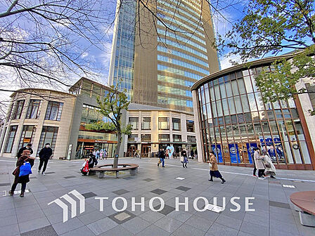 赤坂biz tower 距離700m