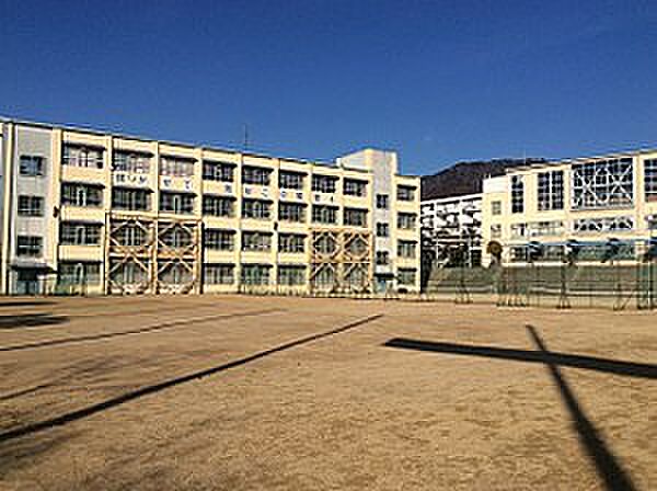 周辺：神戸市立住吉中学校（836m）
