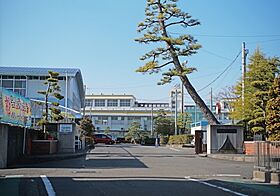 ベナレス藤枝 805 ｜ 静岡県藤枝市駅前１丁目（賃貸マンション2LDK・8階・54.44㎡） その29