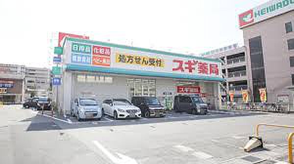 画像25:スギ薬局 近江八幡駅前店（828m）