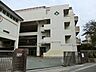 周辺：横浜市立森中学校　約750ｍ