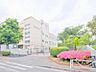 周辺：横浜市立六ツ川中学校　約800ｍ