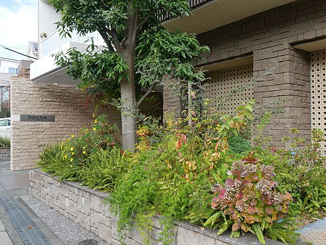 その他 サンクタス桜上水 3階/-