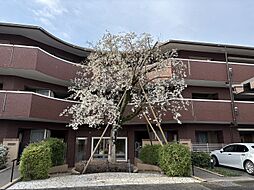 フォレストレイクひばりが丘N棟