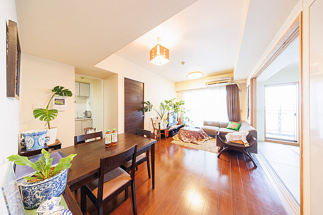 リビング/ダイニング グリーンティエラ柴又 5階/-