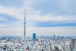 エレベーターホールからの眺望（眺望は永続的に保証されるものではありません）