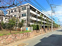 ザ・ライオンズ国立