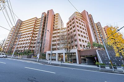 外観：現地外観　4棟構成　センターコート部分　14階建ての14階部分