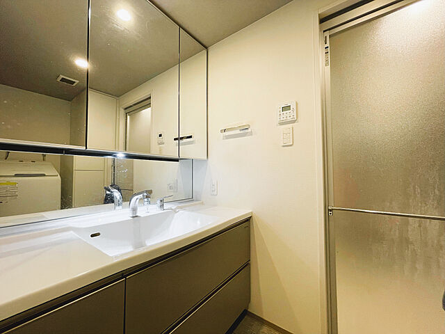 洗面 ライフレビュー川崎久地グランヒル 2階/-