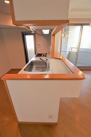 キッチン ライオンズプラザ三河安城 9階/-