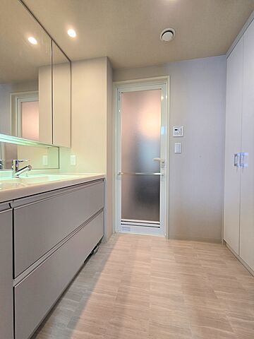 洗面 メイツ塚口レジアンス 10階/-