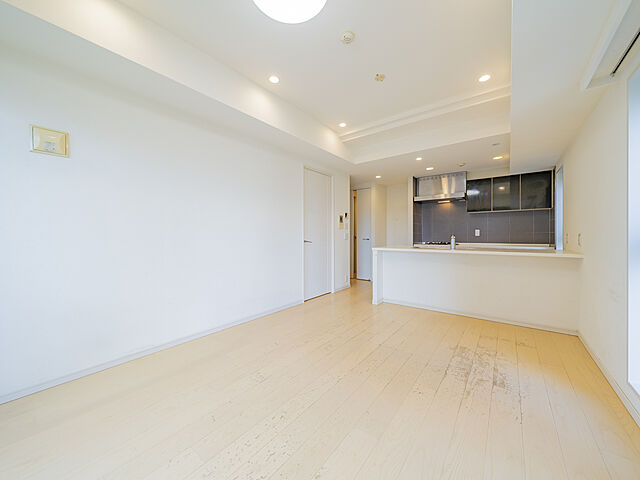 リビング/ダイニング ＴＨＥ　ＴＯＷＥＲ　ＫＯＩＳＨＩＫＡＷＡ 9階/-