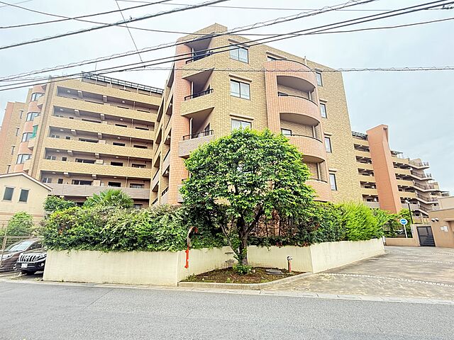 外観 レクセルプラッツァせんげん台弐番館 1階/-