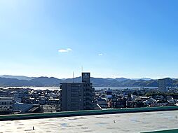 アルファステイツ米原