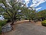 その他：公園　島崎二丁目公園　80ｍ