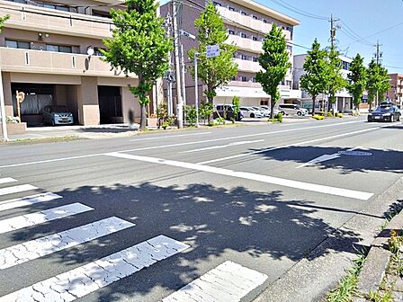 南側前面道路