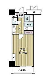 フォレステージュ天神 8階/807