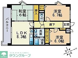 ベルメゾン桜坂 5階/-