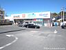 周辺：ウエルシア 戸塚舞岡店　約750ｍ　日用品、食品などもあるドラッグストア