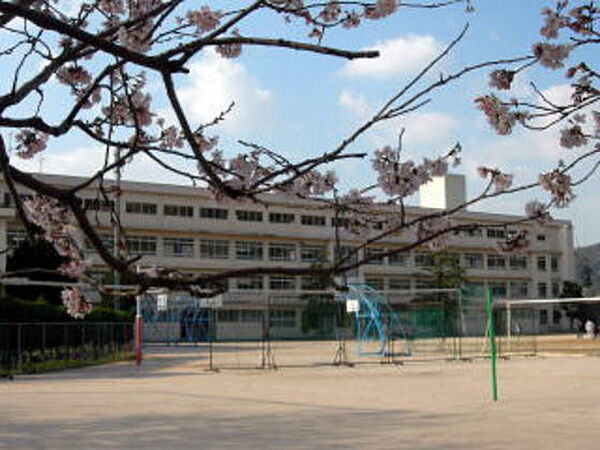 画像17:小学校「広島市立山本小学校まで534ｍ」