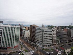 広島県広島市南区稲荷町（賃貸マンション3LDK・13階・79.81㎡） その5