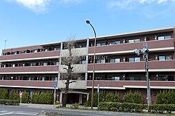 プレール・ドゥーク成増